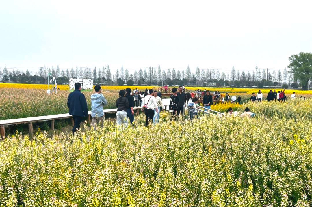 1744185846273408.png 1744185846273408.png